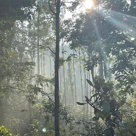 Rai'S Coorg Cave House Βίλα Madikeri Εξωτερικό φωτογραφία