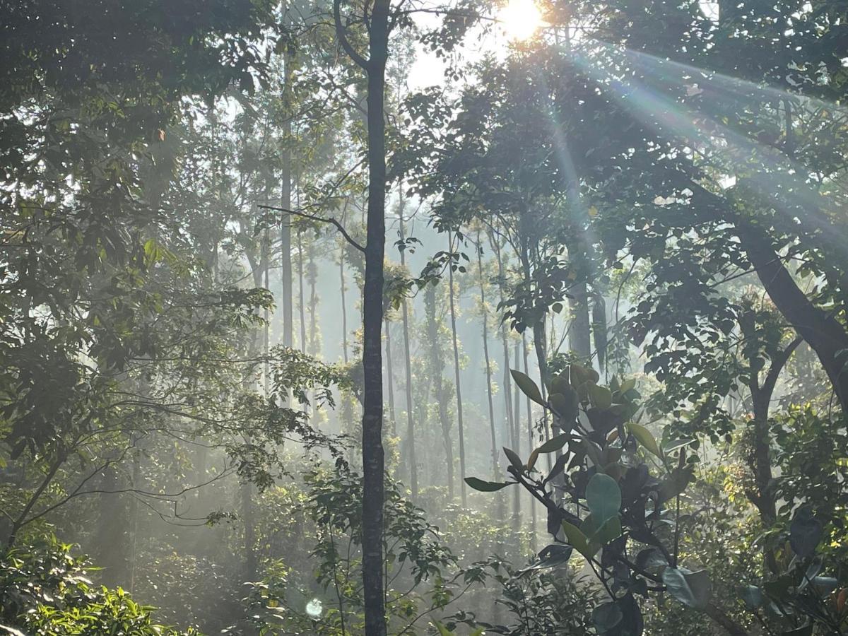 Rai'S Coorg Cave House Βίλα Madikeri Εξωτερικό φωτογραφία