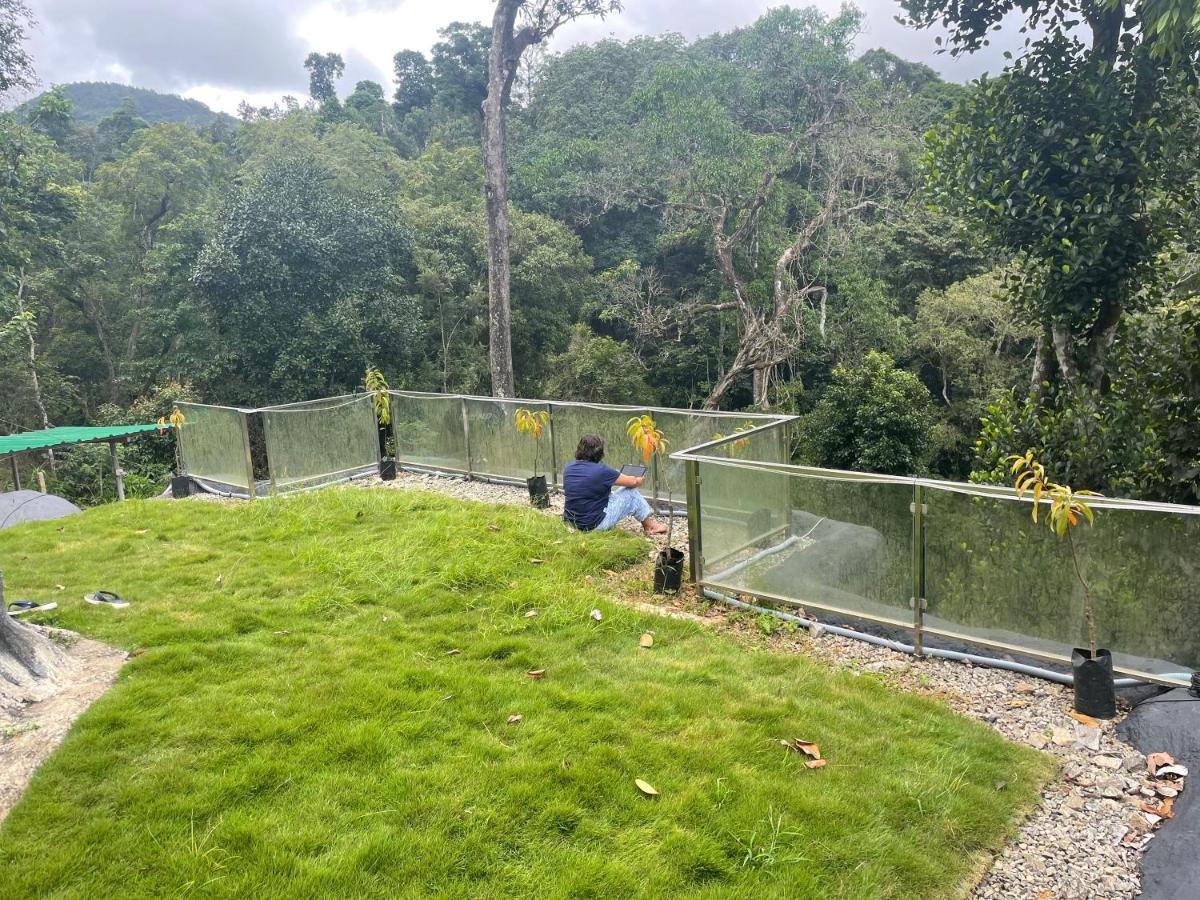 Rai'S Coorg Cave House Βίλα Madikeri Εξωτερικό φωτογραφία
