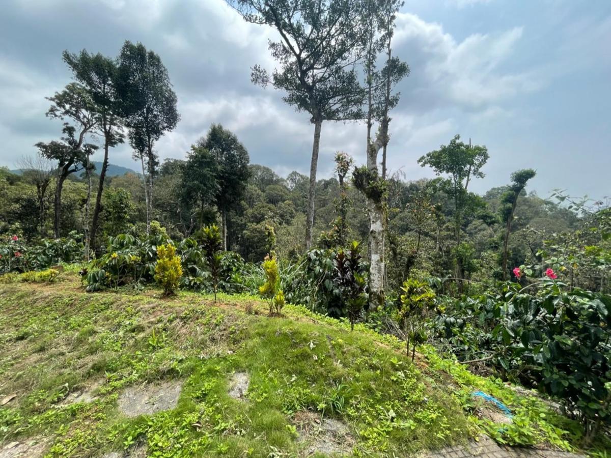 Rai'S Coorg Cave House Βίλα Madikeri Εξωτερικό φωτογραφία